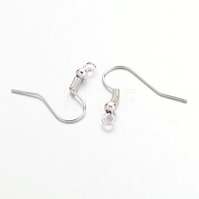 Iron Earring Hooks J07JW-S-1