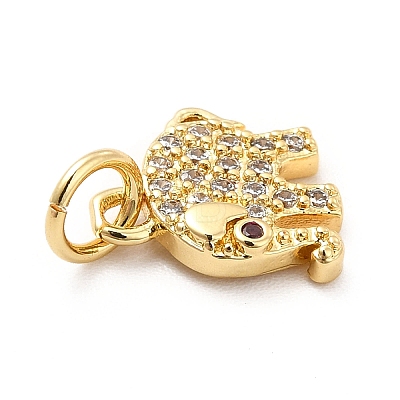 Rack Plating Brass Micro Pave Cubic Zirconia Charms KK-K270-17G-1