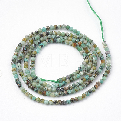 Natural African Turquoise(Jasper) Beads Strands X-G-T064-18-2mm-1