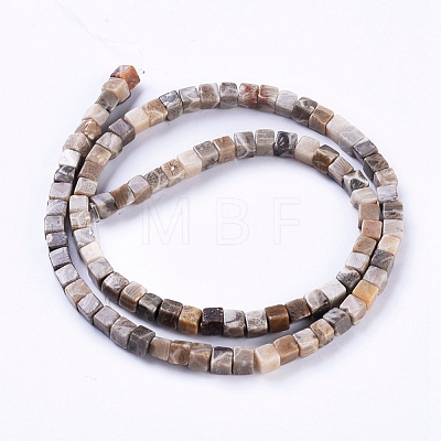 Natural Fossil Coral Beads Strands G-D0020-13B-1