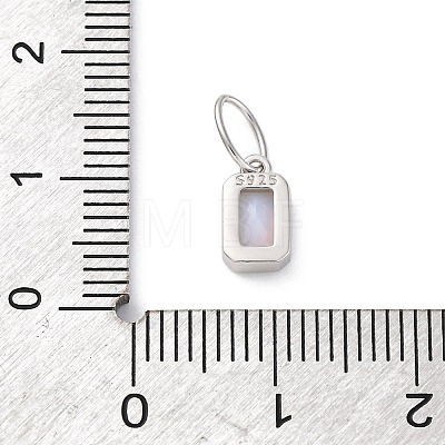 925 Sterling Silver Cubic Zirconia Charms STER-NH0014-01P-06-1