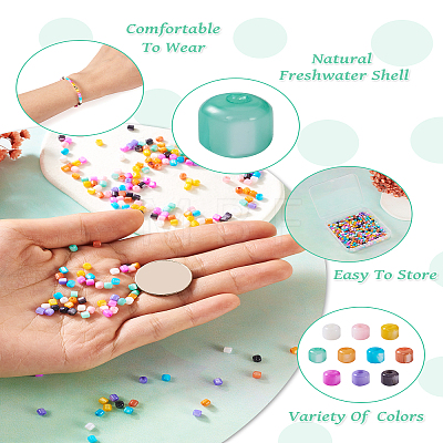 300Pcs 10 Colors Natural Freshwater Shell Beads SHEL-TA0001-06-1