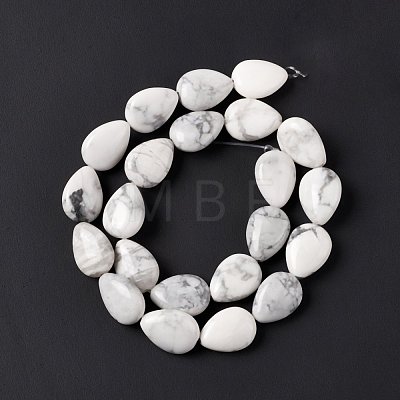 Natural Howlite Beads Strands G-L242-13-1