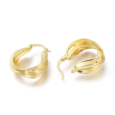 Brass Hoop Earrings EJEW-H104-03G-1