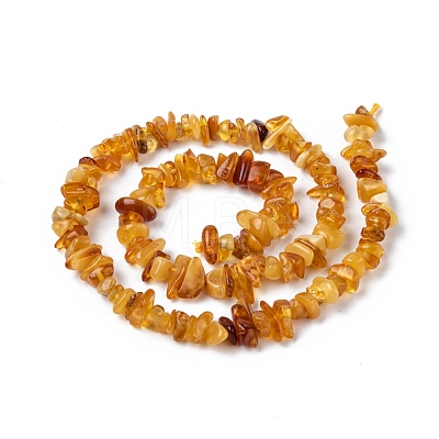 Natural Amber Chip Beads Strands X-G-E271-81-1