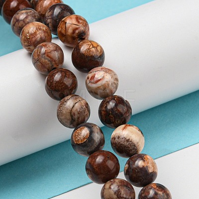 Natural Gemstone Beads Strands G-R494-A22-03-1