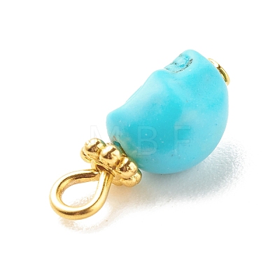 Dyed Synthetic Turquoise Charms PALLOY-JF01452-02-1