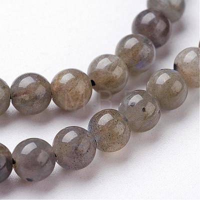 Natural Labradorite Bead Strands G-J352-01-10mm-1