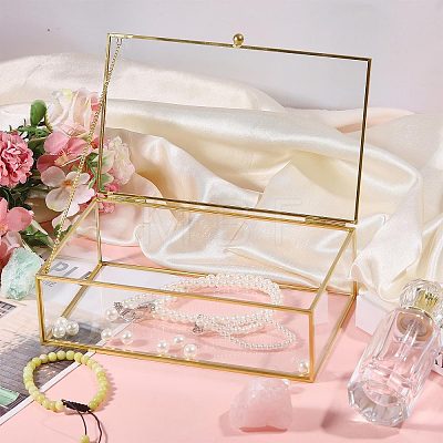 Transparent Glass Jewelry Organizer Display Cases with Metal Frame AJEW-WH0410-465A-1-1