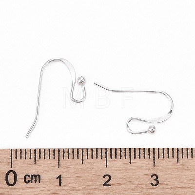 925 Sterling Silver Earring Hooks STER-I014-10S-1
