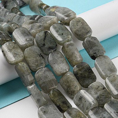 Natural Labradorite Beads Strands G-M420-M02-02-1