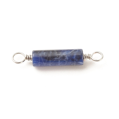 Natural Sodalite Connector Charms PALLOY-JF01574-01-1