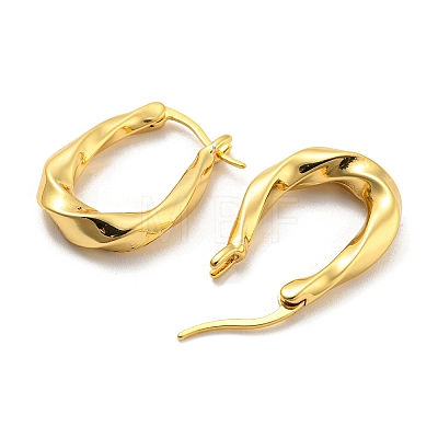 Twist Oval Hoop Earrings EJEW-G355-17G-1