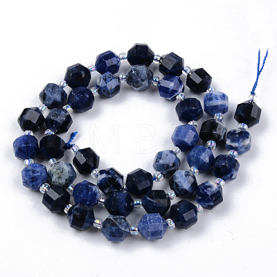 Natural Sodalite Beads Strands G-R482-21B-8MM-1