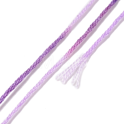 10 Skeins 6-Ply Polyester Embroidery Floss OCOR-K006-A34-1