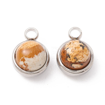 Natural Picture Jasper Charms G-K325-01P-06-1