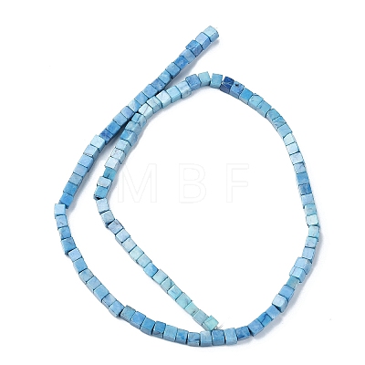 Natural Howlite Beads Strands G-C135-E03-01-1