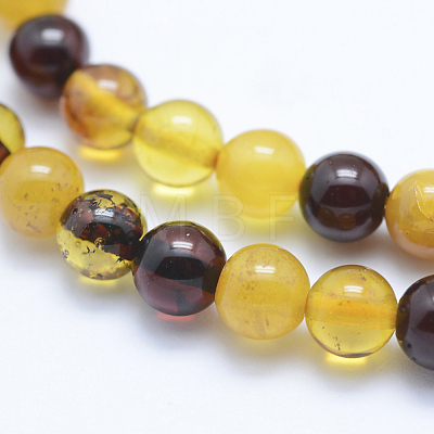 Natural Amber Beads Strands G-P336-16-6mm-1