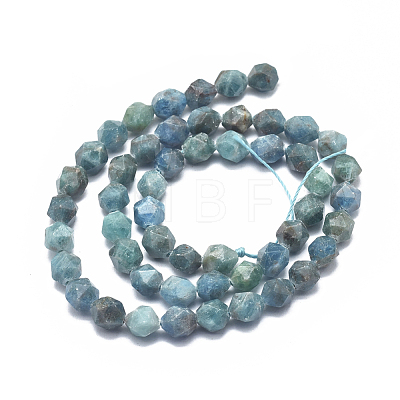 Natural Apatite Beads Strands G-K303-B14-10mm-1