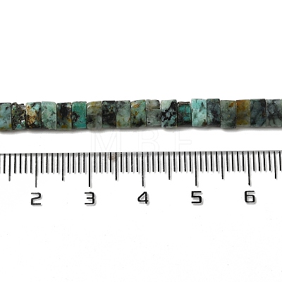 Natural African Turquoise (Jasper) Beads Strands G-Z045-A10-01-1