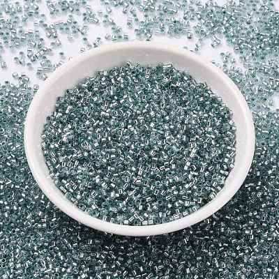 Cylinder Seed Beads SEED-H001-G08-1