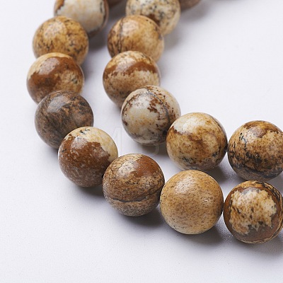 Natural Gemstone Beads Strands GSR10mmC016-1