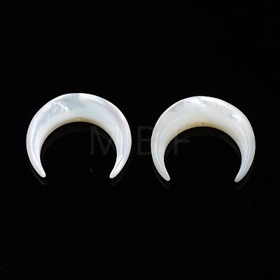 Natural White Shell Mother of Pearl Shell Beads SSHEL-T012-07-1
