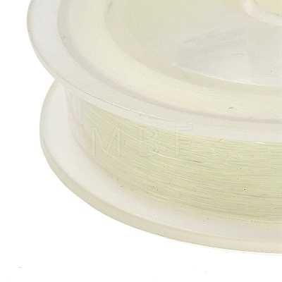 100M Fishing Thread Nylon Wire NWIR-XCP0001-15-1