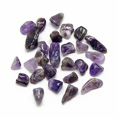 Natural Amethyst Gemstone Beads G-S218-12-1