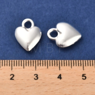 Long-Lasting Plated Alloy Charms PALLOY-A006-18S-1