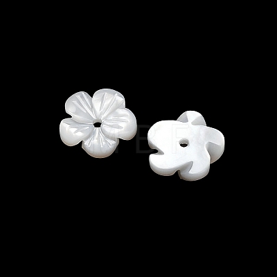 Natural White Shell Beads SH-CBA93AD-07C-1
