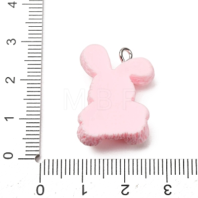 Aninal Theme Opaque Resin Pendants RE-CBA6A90-07P-03-1