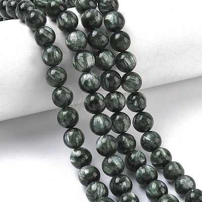 Natural Seraphinite Beads Strands G-C270-O01-07-1