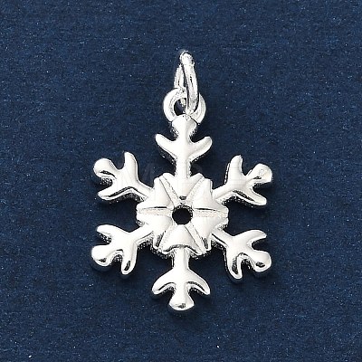 925 Sterling Silver Pendants LS-FIND-Z069-04S-B-1