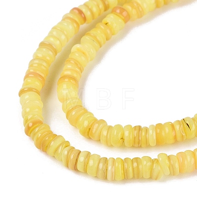 Natural Freshwater Shell Beads Strands SHEL-Q028-01C-1