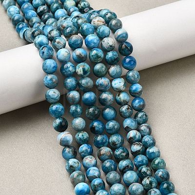 Natural Apatite Beads Strands G-G858-01B-01-1