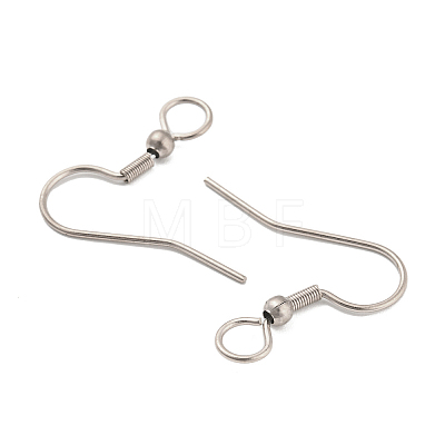 304 Stainless Steel Earring Hooks STAS-B047-30P-1