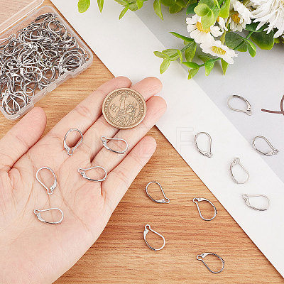 100Pcs 304 Stainless Steel Leverback Earring Findings STAS-BBC0001-55P-1