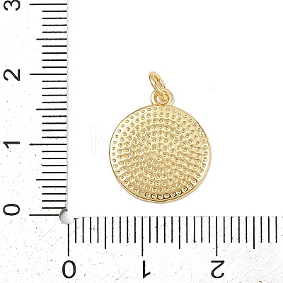 Brass Enamel Pendants KK-L251-02G-D-1