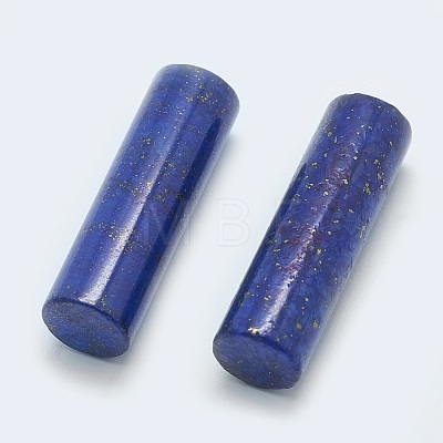 Natural Lapis Lazuli Beads G-G760-L17-1