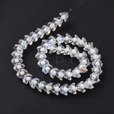 Transparent Glass Beads Strands LAMP-H061-01D-1