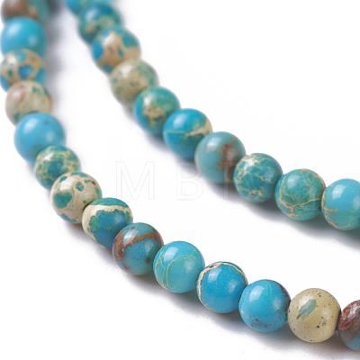 Natural Imperial Jasper Beads Strands G-I248-03E-1