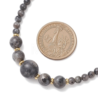 Natural Larvikite Round Graduated Beaded Necklaces NJEW-JN05654-03-1