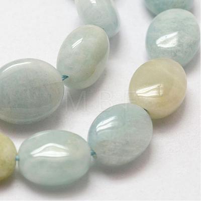 Oval Natural Aquamarine Bead Strands G-O139-02C-1