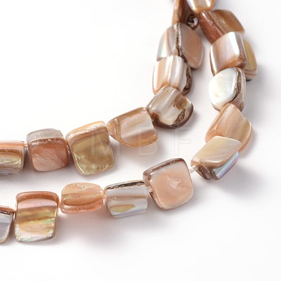 Erose Shell Beads Strands PBB071Y-1