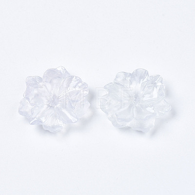 Resin Cabochons X-RESI-S364-46C-1