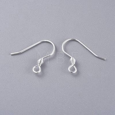 304 Stainless Steel Earring Hooks STAS-K210-26S-1