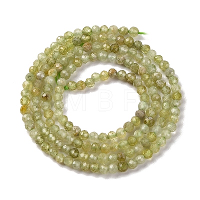 Natural Green Garnet Beads Strands G-A235-A02-01-1