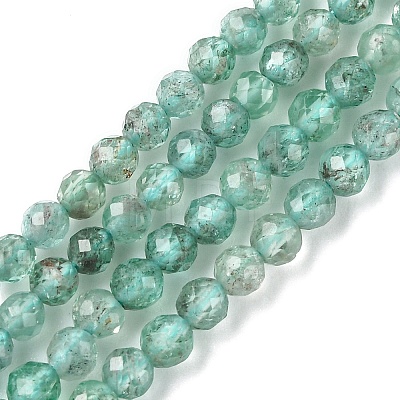 Natural Apatite Beads Strands G-F748-J01-01-1