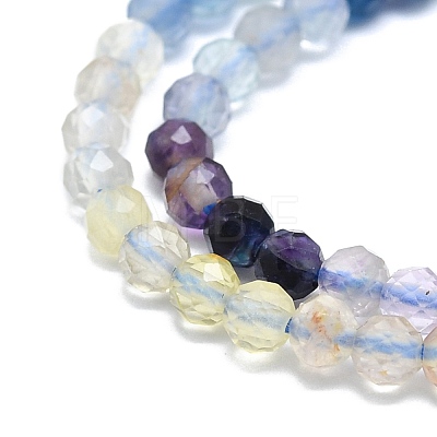 Natural Fluorite Beads Strands G-P457-A02-19-1
